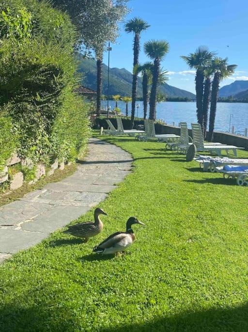 Holiday On The Lake Lugano 2-16 Bissone Bagian luar foto